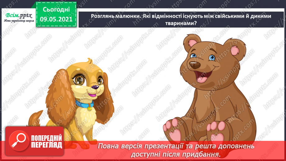 №071 - Чи може людина існувати без свійських тварин?6 №071 - Чи може людина існувати без свійських тварин?6