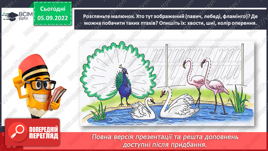 №0009 - Письмо подовженої похилої лінії із заокругленням унизу і вгорі13