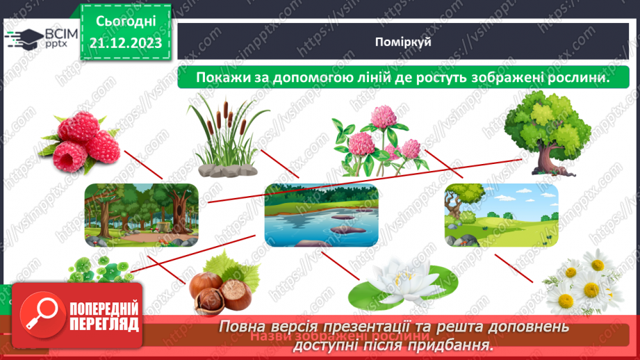 №049 - Чому рослини такі різні14 №049 - Чому рослини такі різні14