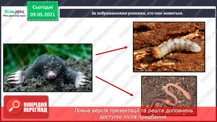 №074-75 - Які тварини живуть на луках, у степах і водоймах?13