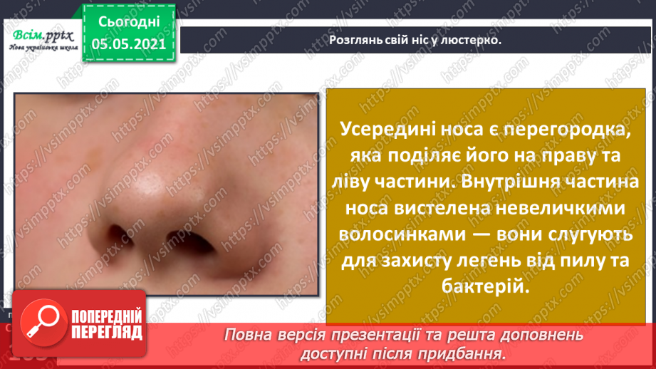 №083-84 - Орган нюху. Практична робота.22