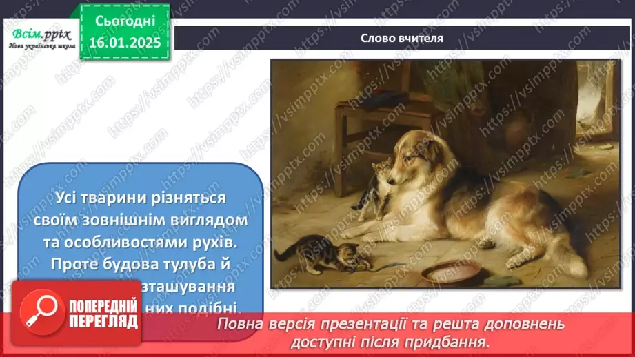 №19 - Карнавал тварин16