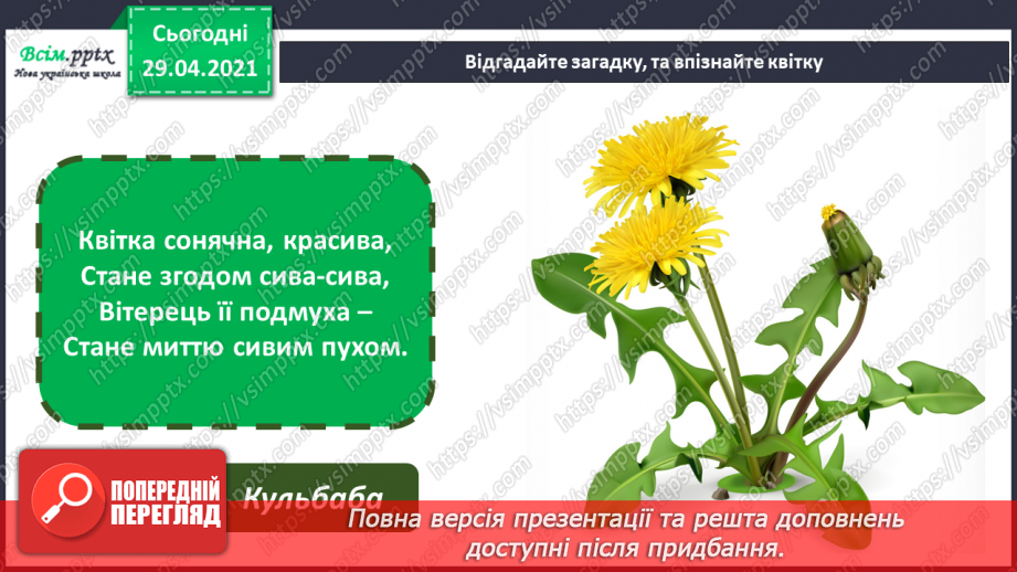 №03 - Квіткова краса. Декоративне мистецтво. Зображення букета квітів (акварель або гуаш)5