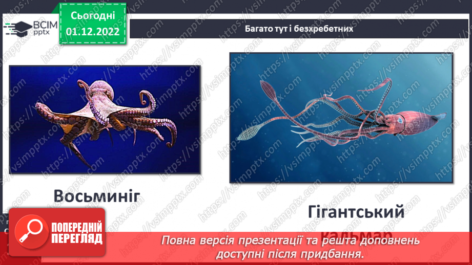 №048 - Мешканці океанів та прісних водойм.14