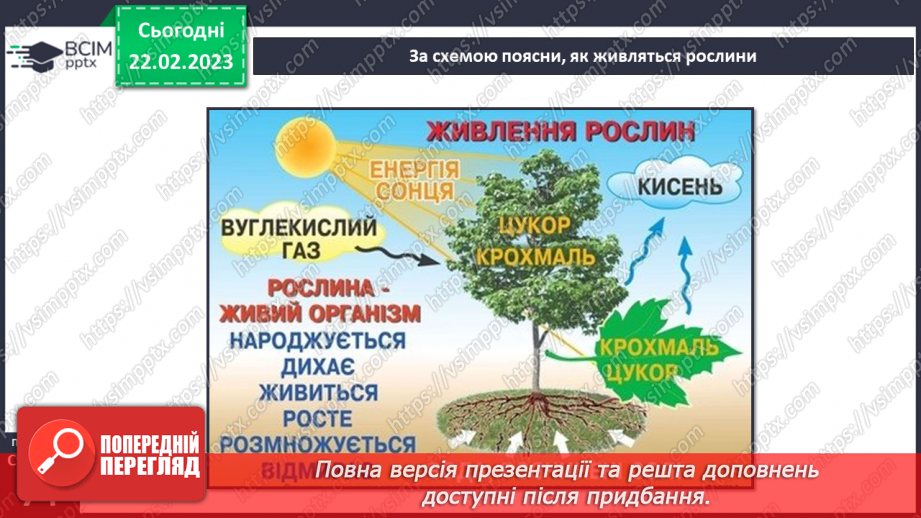 №075 - Живлення рослин.6