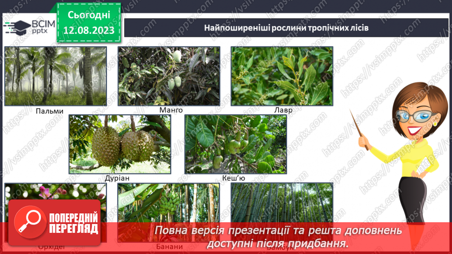 №39 - Види лісів.15 №39 - Види лісів.15