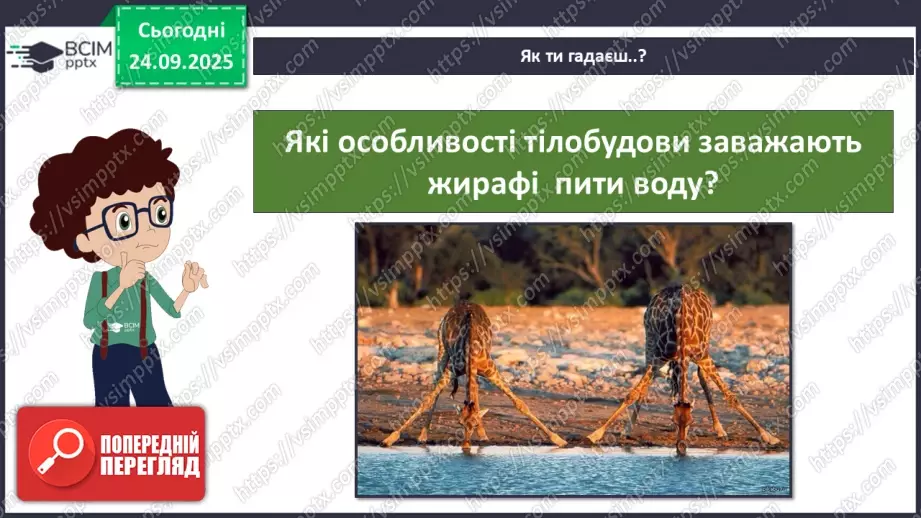 №017 - Тварини-рекордсмени14 №017 - Тварини-рекордсмени14