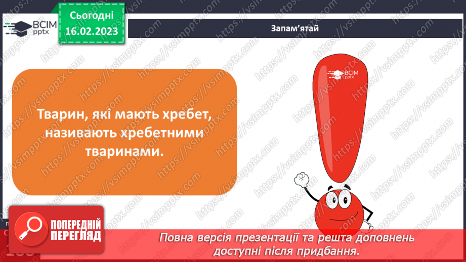 №48 - Хребетні тварини. Будова та спосіб життя хребетних тварин. Практична робота.3