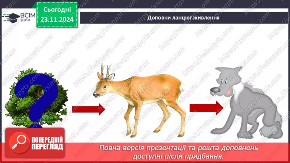 №0038 - Які невидимі ланцюги є в осінньому лісі19 №0038 - Які невидимі ланцюги є в осінньому лісі19