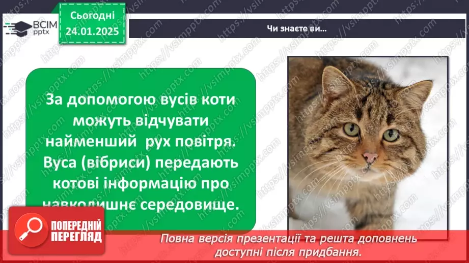 №0060 - Яка користь від знань18 №0060 - Яка користь від знань18