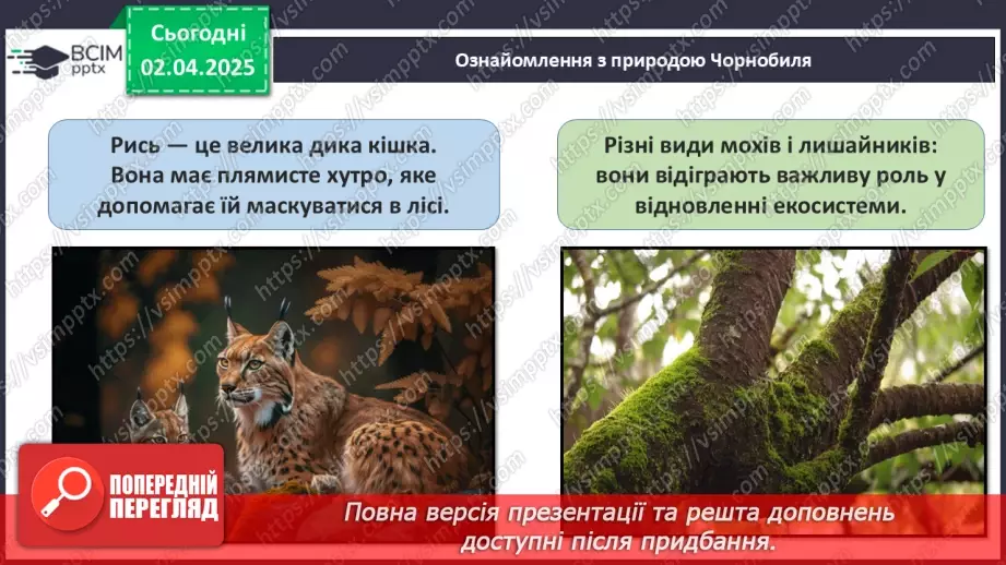 №30 - Пам'ять про Чорнобиль.17 №30 - Пам'ять про Чорнобиль.17