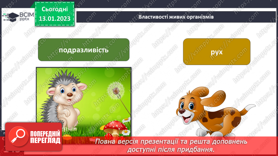 №38 - Організми та їх властивості. Методи дослідження організмів. Висівання і пророщування квасолі.22