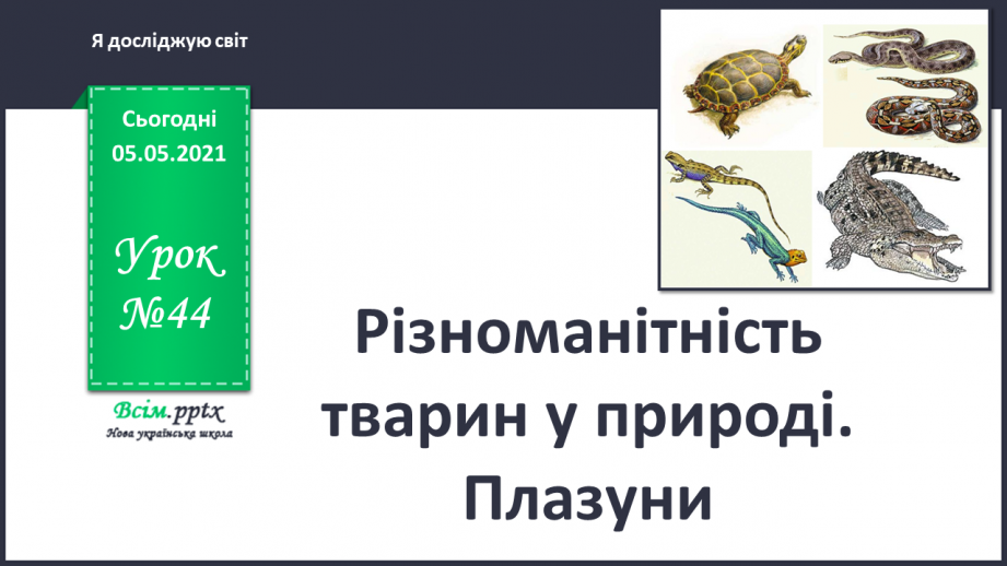 №044 - Різноманітність тварин у природі. Плазуни0 №044 - Різноманітність тварин у природі. Плазуни0