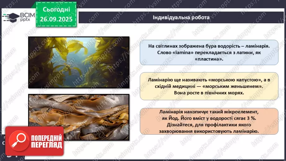 №016 - Різноманіття та значення водоростей в екосистемах. Використання водоростей людиною.23 №016 - Різноманіття та значення водоростей в екосистемах. Використання водоростей людиною.23