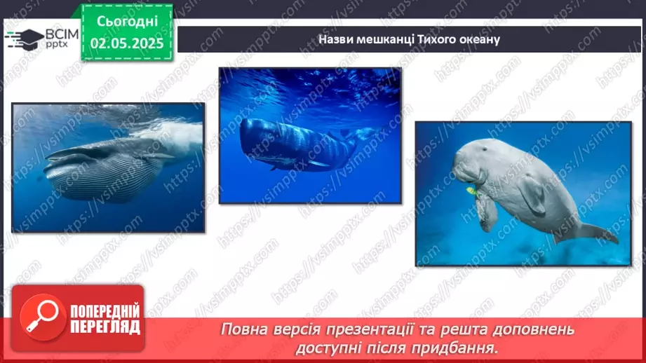 №66-70 - Узагальнення вивченого з розділу «Природа океанів»19