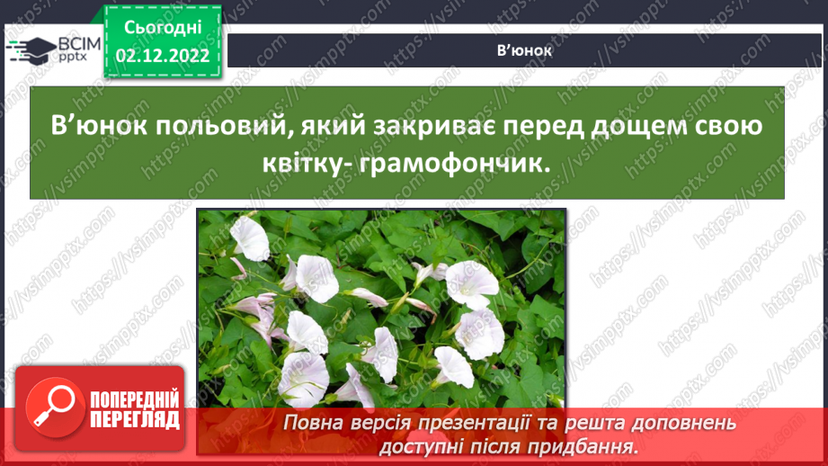 №32 - Проєктна робота. Презентаційна робота на тему «Передбачення погоди за поведінкою тварин і рослин»12 №32 - Проєктна робота. Презентаційна робота на тему «Передбачення погоди за поведінкою тварин і рослин»12