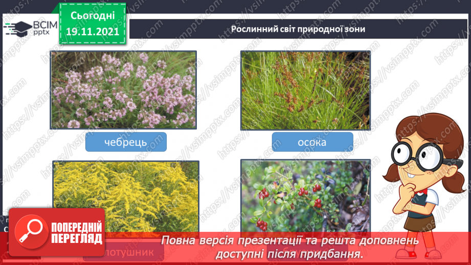 №039 - Подорожуємо  зонами мішаних і  широколистих лісів11