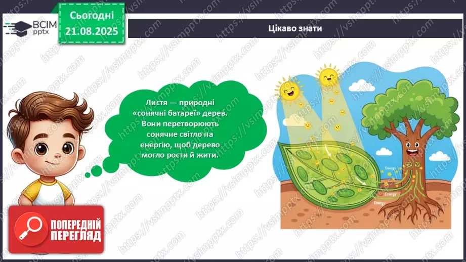 №01 - Створюємо аплікацію із сухого листя за власним задумом.21 №01 - Створюємо аплікацію із сухого листя за власним задумом.21