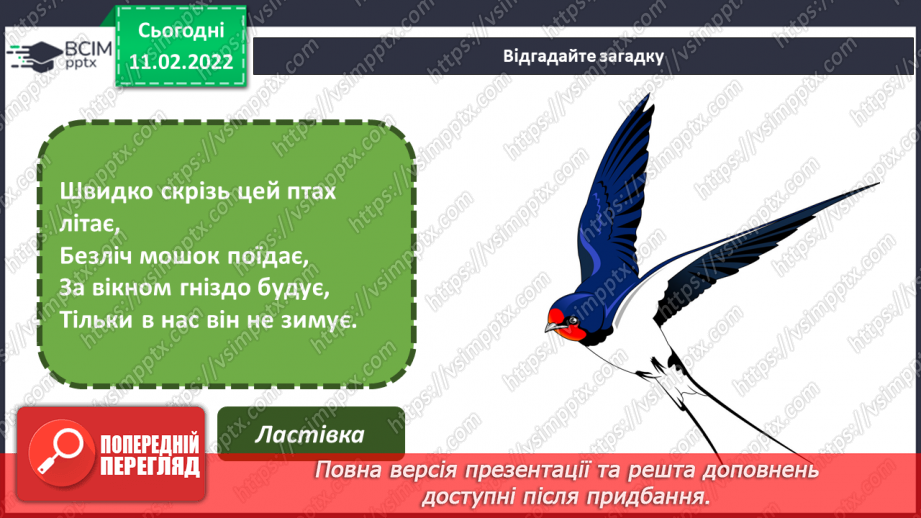 №23 - Основні поняття: анімація СМ: фото тварин і відповідних персонажів в анімації; м/ф «Курча в клітиночку»3