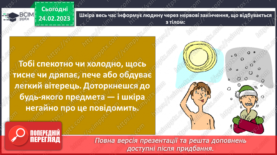 №50 - Із чого складається організм людини. Клітини, внутрішні органи та шкіра.13