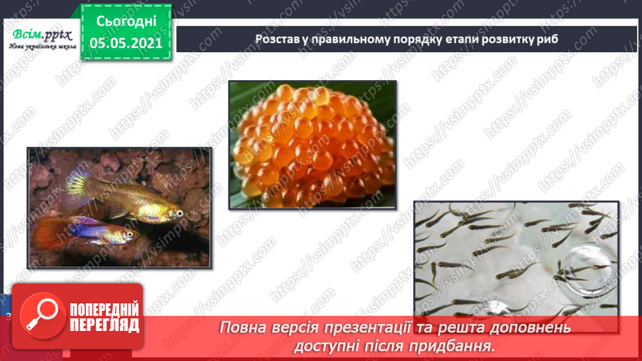 №041 - Риби.20