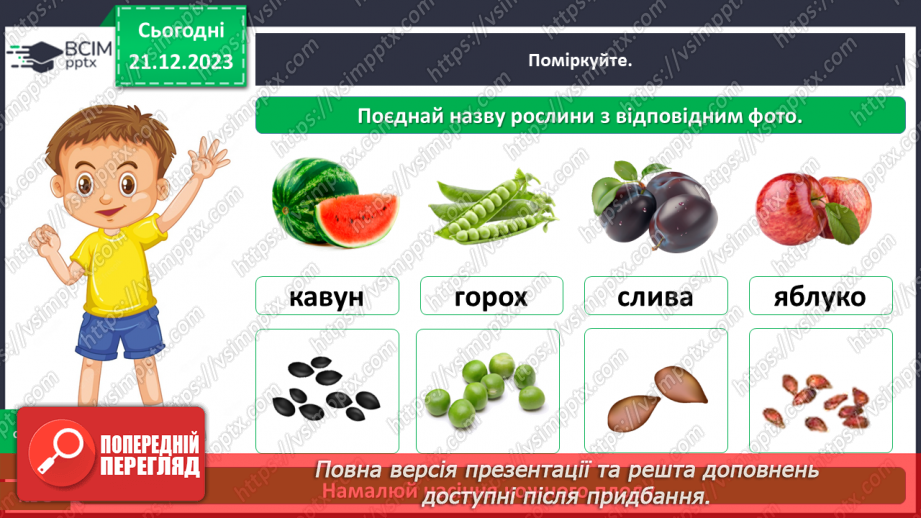 №050 - Яка будова рослин24 №050 - Яка будова рослин24