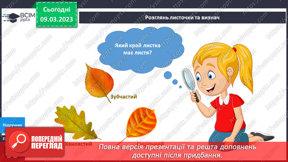 №081 - Чарівне листя рослин. Досліджуємо рослини.6