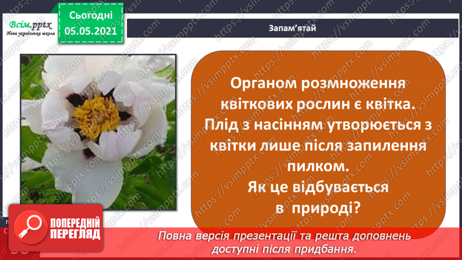 №036 - Квіткові рослини.8