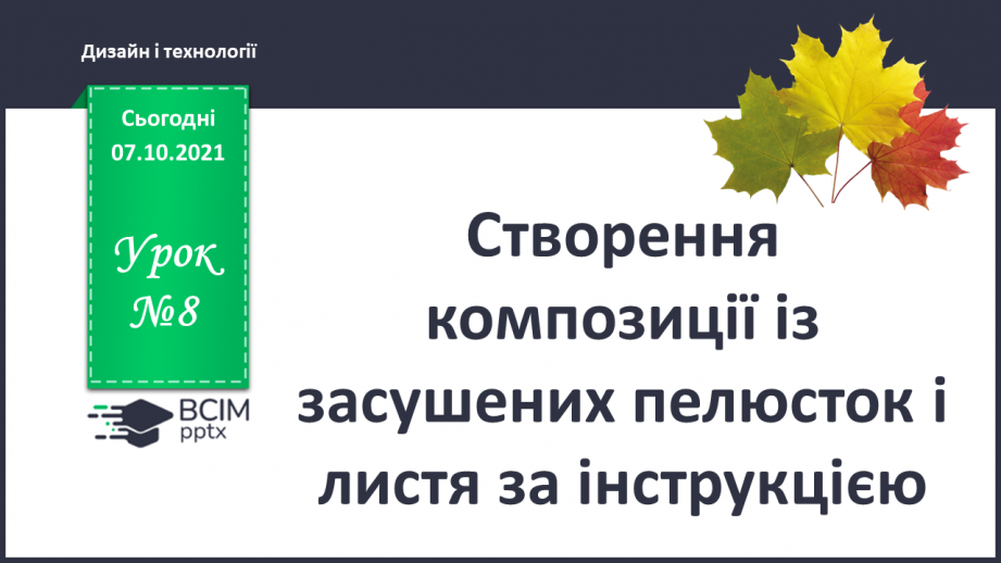 №008 - Створення композиції із засушених пелюсток і листя за інструкцією0