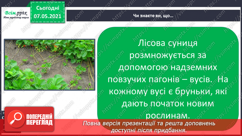 №039 - Як виростити нову рослину без насіння17 №039 - Як виростити нову рослину без насіння17