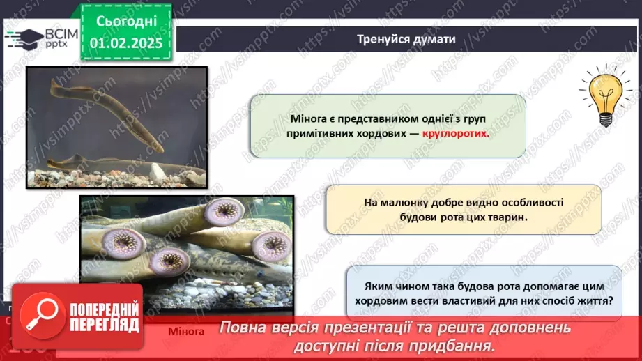 №58 - Хордові.6 №58 - Хордові.6