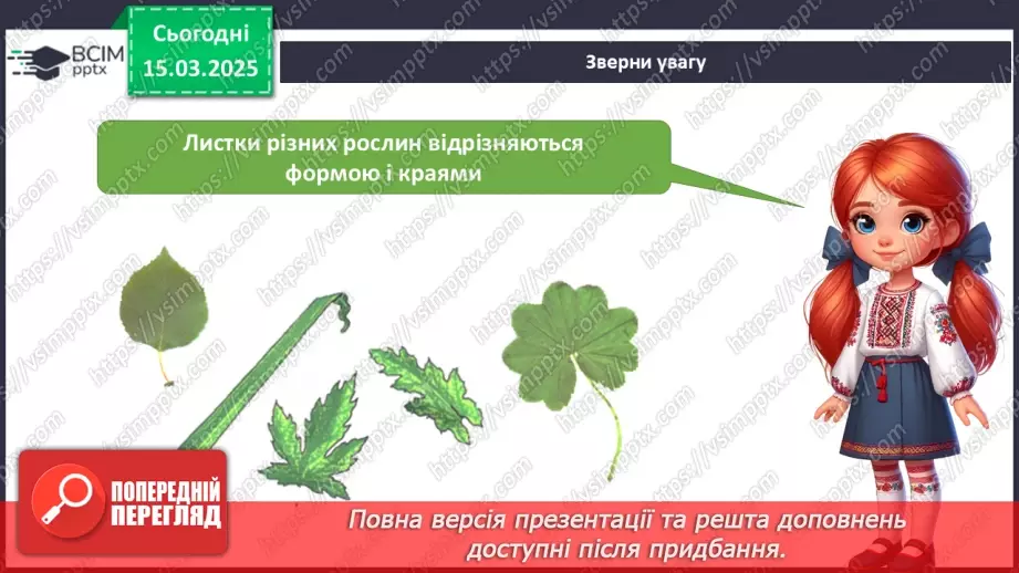 №080 - Будова рослин. Форма листя.7 №080 - Будова рослин. Форма листя.7