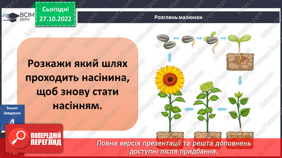 №033 - Будова рослин. Лікарські та отруйні рослини.17 №033 - Будова рослин. Лікарські та отруйні рослини.17