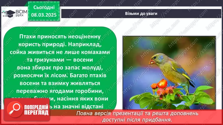 №0076 - Чому птахи в’ють гнізда41 №0076 - Чому птахи в’ють гнізда41