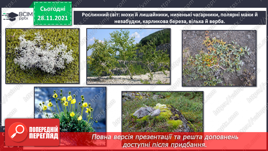 №042 - У чому виявляються особливості рослинного й тваринного світу Північної Америки?12