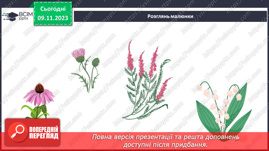 №035 - Які бувають рослини? Де вони ростуть?17 №035 - Які бувають рослини? Де вони ростуть?17