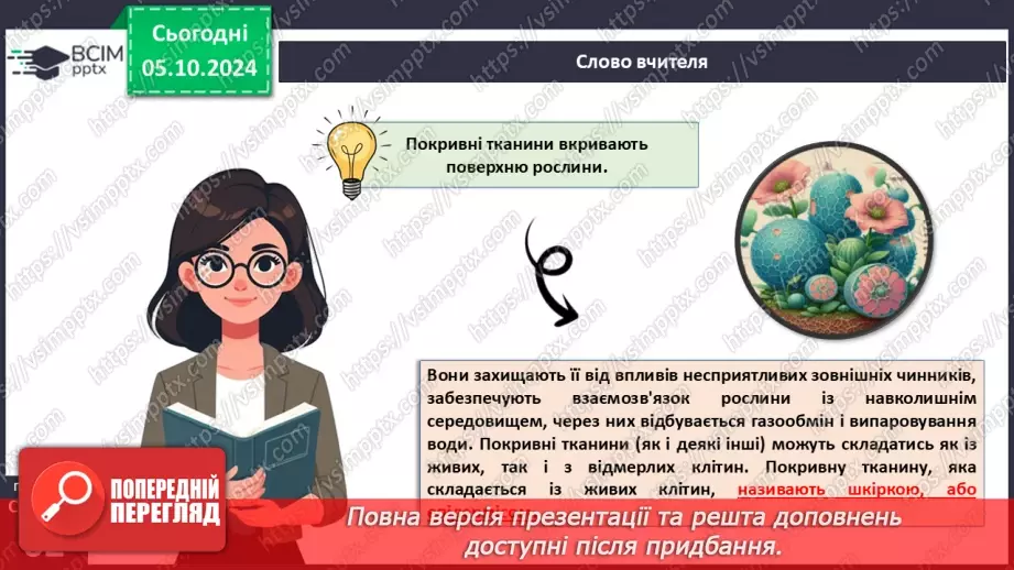 №20 - Вищі рослини багатоклітинні організми з тканинами та органами.11