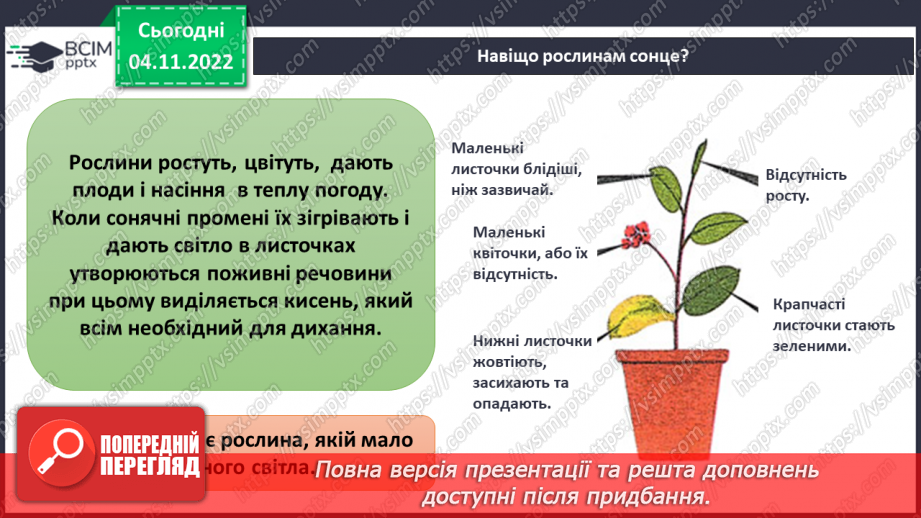 №24-25 - Як дослідити світлові явища. Утворення тіні. Роль світла в природі й житті людини.19