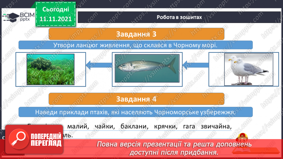 №034 - Які скарби приховує Чорне море18 №034 - Які скарби приховує Чорне море18