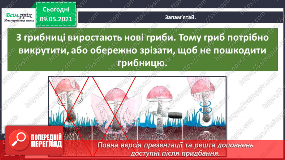 №079 - У чому загадковість світу грибів?9