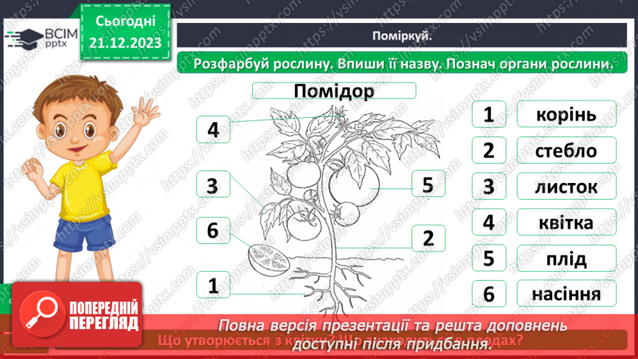 №050 - Яка будова рослин20 №050 - Яка будова рослин20