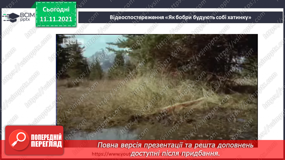 №036 - Як зробити територію комфортною для себе?6 №036 - Як зробити територію комфортною для себе?6