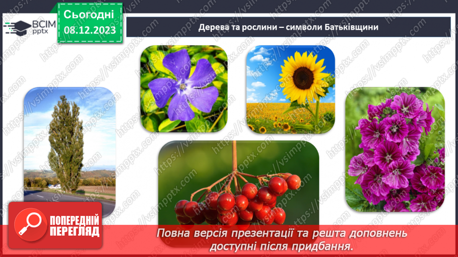 №29 - Михайло Ткач. «Моя Україна». Образ України.19