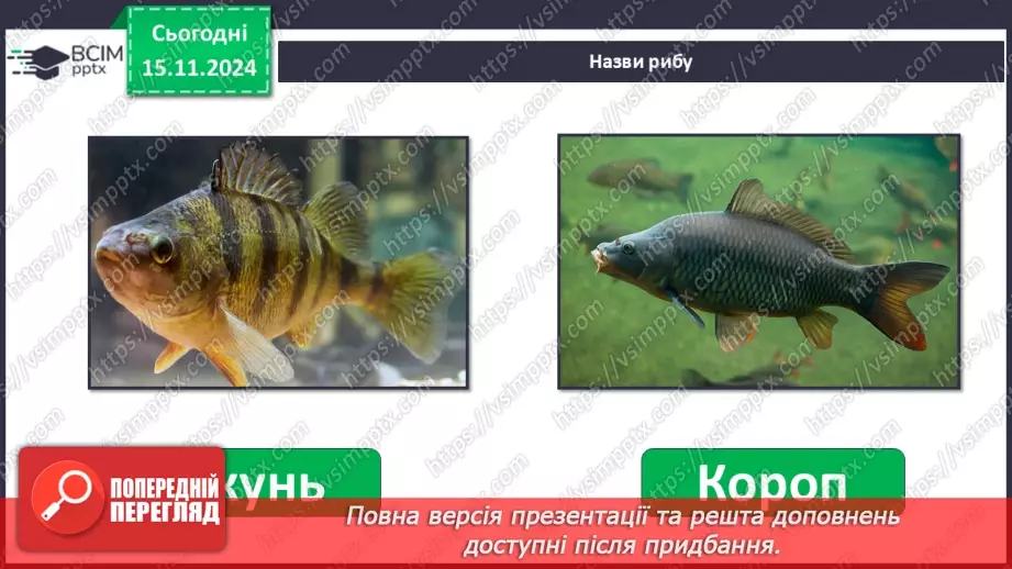 №0035 - Як риби готуються до зими11 №0035 - Як риби готуються до зими11