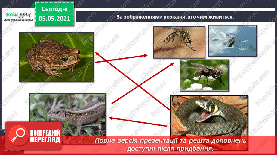 №096 - Ясніє в кожній квітці дивина.12 №096 - Ясніє в кожній квітці дивина.12