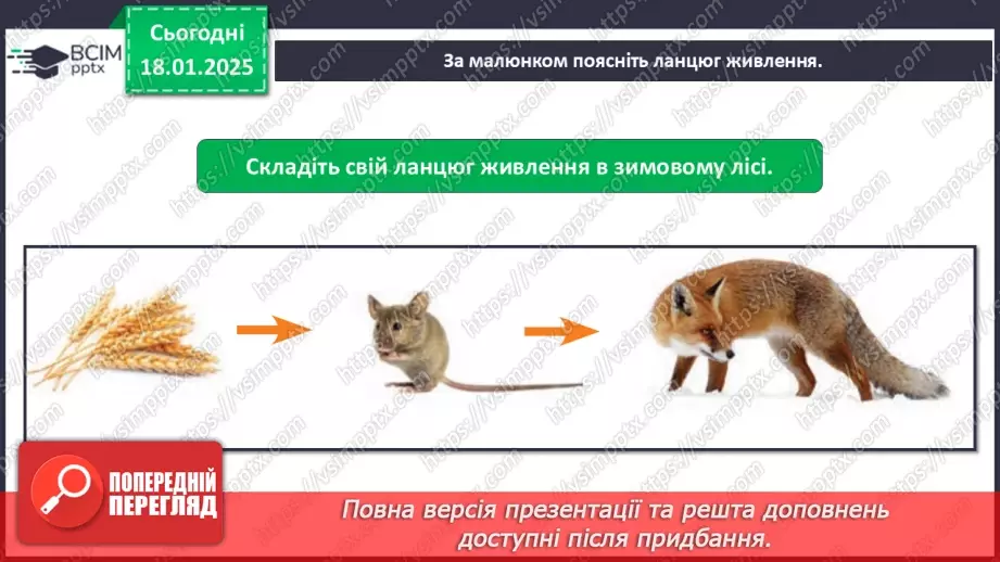 №0056 - Як зимують птахи та звірі15 №0056 - Як зимують птахи та звірі15