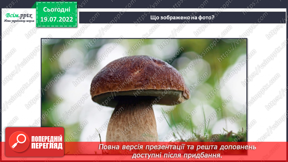 №09 - Симетрія у природі. Вирізання деталей виробів симетричної форми. Створення аплікації «Грибочки».4