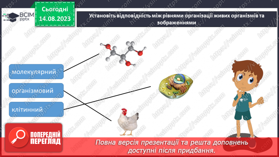 №10 - Одноклітинні та багатоклітинні; рівень організації живої природи.14