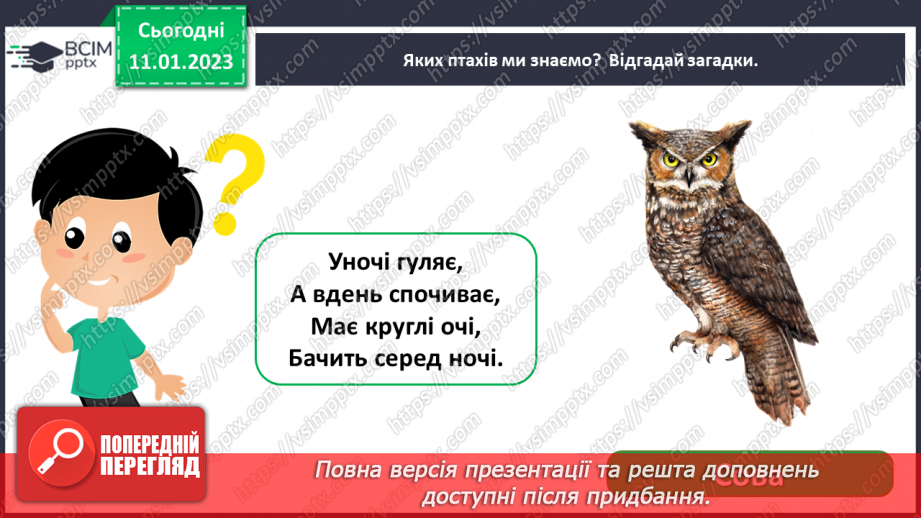 №0057 - Птахи4
