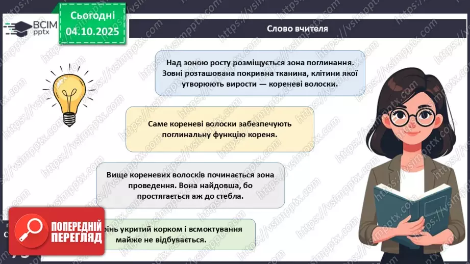 №021 - Покритонасінні рослини: тканини та будова кореня21 №021 - Покритонасінні рослини: тканини та будова кореня21